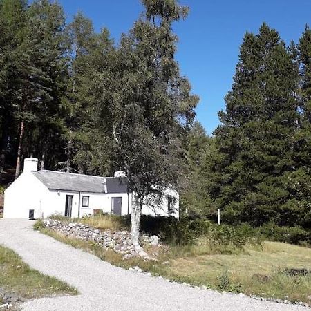 Torgoyle Cottage Inverness Exterior photo